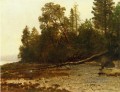 El árbol caído bosque de Albert Bierstadt